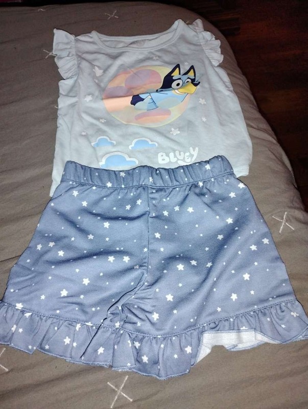 Bluey Girl Outfit Size 4T Shirt Shorts Summer Set Blue