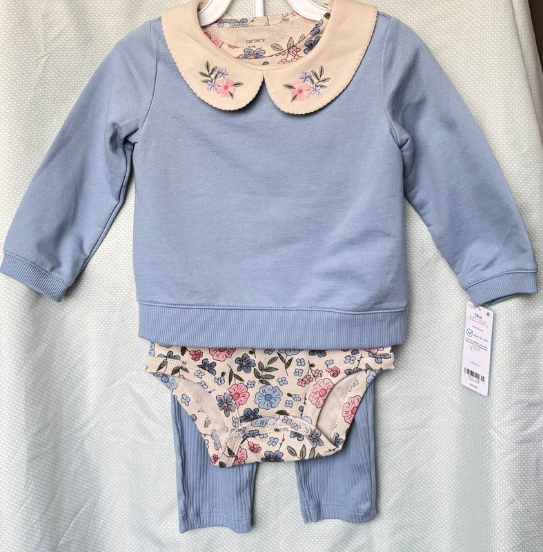Carter’s Blue Floral 3 Piece Sweatshirt Bodysuit Pants Set 18m Embroidered