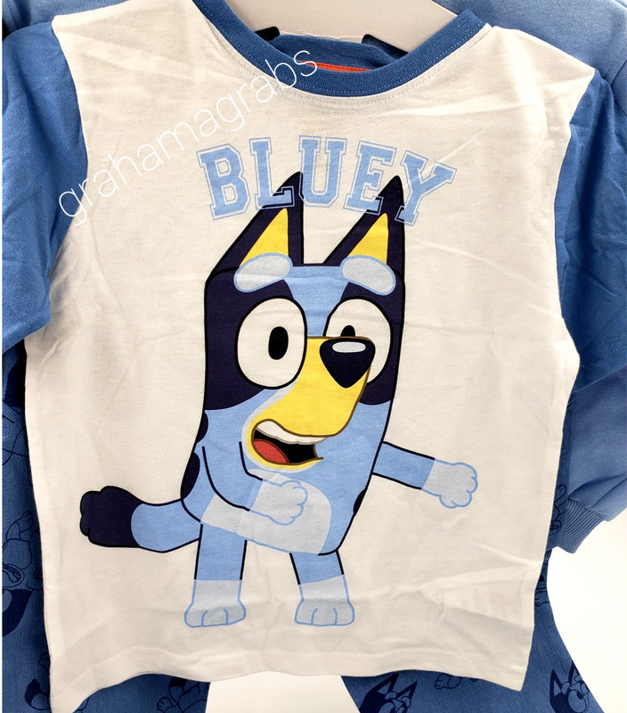 BLUEY KIDS CHARACTER 3-Piece DENIM SET jeans sweatshirt T-Shirt SIZE 5, 6, 7 NEW gallery