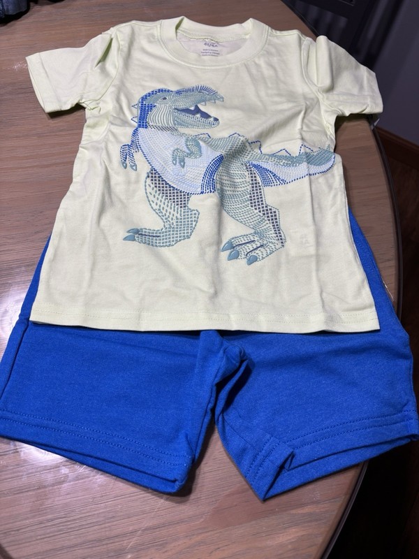 Carters 4T/4A Dinosaur Theme Tee Shirt & Pull On Shorts Outfit New In Package