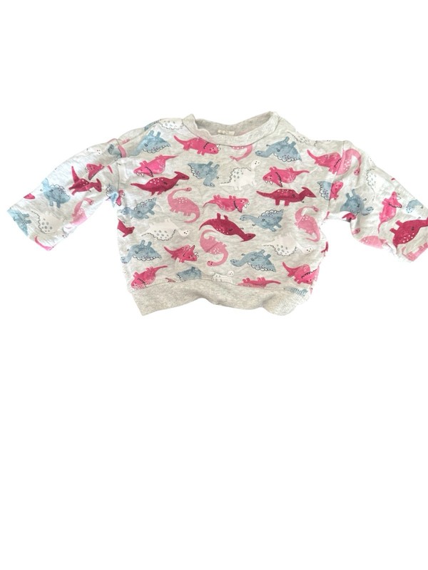 H&M infant 2 Piece pink and grey Dinosaur Sweat Suit Size 6-9 Months gallery