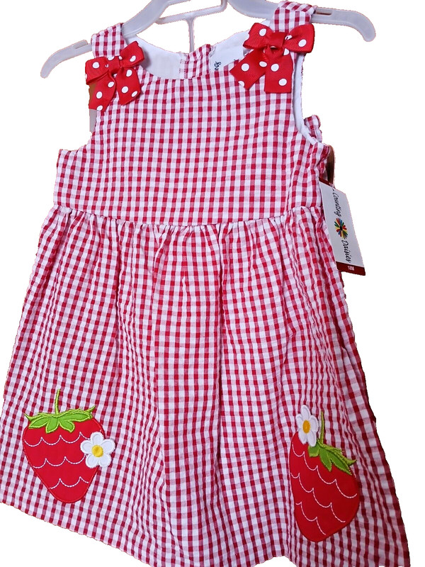 Girl’s 18 Month Counting Daisies 2Pc Red Gingham Strawberry Dress & Bloomers new