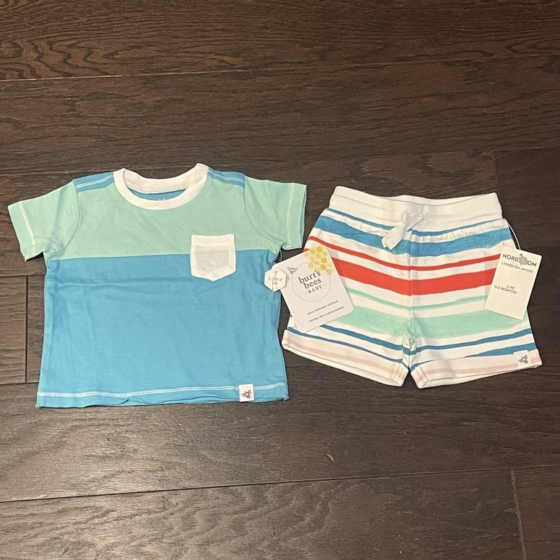 Burt’s Bees Baby NWT 2 Piece Set Shirt And Shorts 0-3 Months