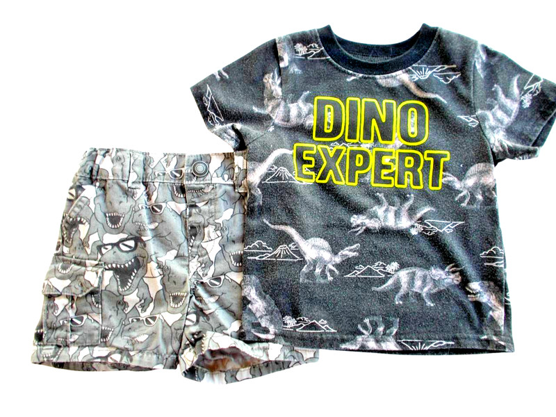 Dinosaur 2-Piece SET: «Dino Expert» T-Shirt & Dino Cargo Shorts [SIZE 12 mos.]