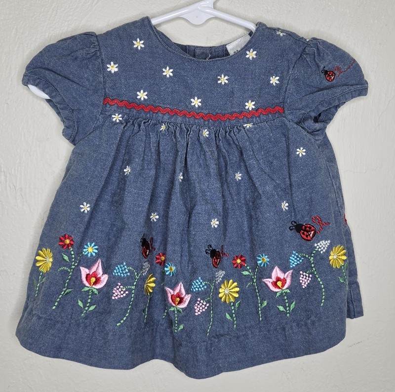 Vintage Class Club Baby Dress Girls Size 3 Months Floral Lady Bug Embroidered