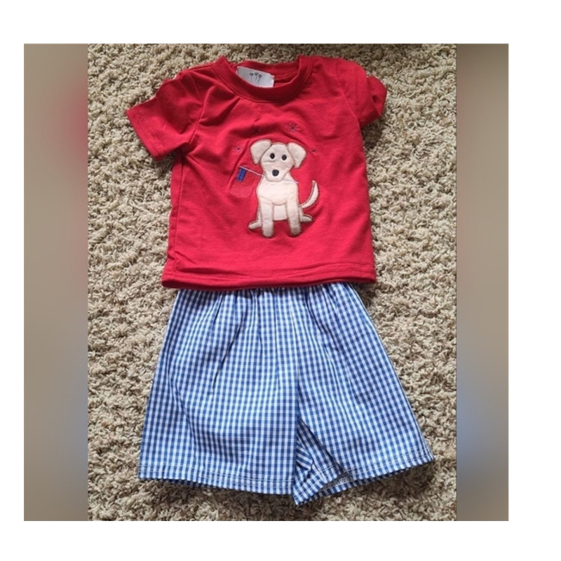 Dog Red T-Shirt & Blue Gingham Shorts Set 12-18 Months
