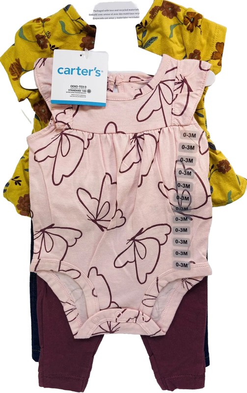 0-3M-(2)-Outfits-4 Pc-Carter’s-Baby-Girl-Short Sleeve/Bodysuit & Pants-Set-NWT