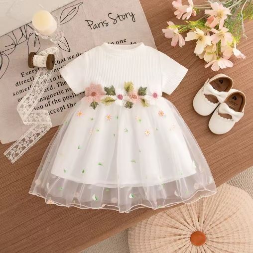 Premium Baby Girl Floral Embroidery Mesh Princess Dress–Long Sleeve| 03 Years gallery