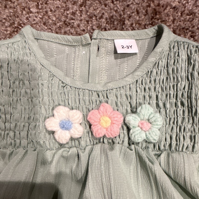 Girls 2-3Y Light Green Floral Top & Shorts Set, Flower Embroidered Outfit gallery