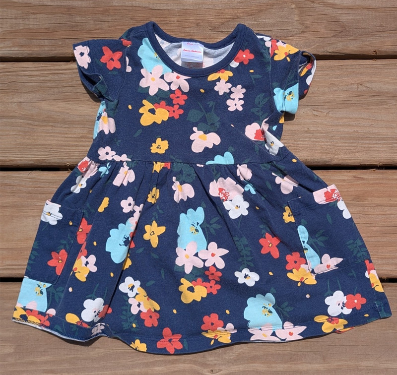 Girls Size 2t (85cm) Hanna Andersson Dress – Blue, Floral with pockets